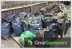 Oxford OX1 Seasoned Professional in Garden Waste Clearance